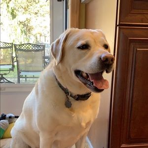 Meet your Posher, Kathleen